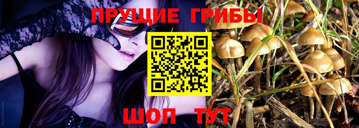 Псилоцибиновые грибы прущие грибы Набережные Челны